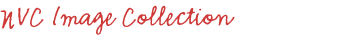 NVC Image Gallery